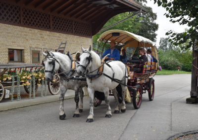 Firmenausflug auf dem Bauernhof